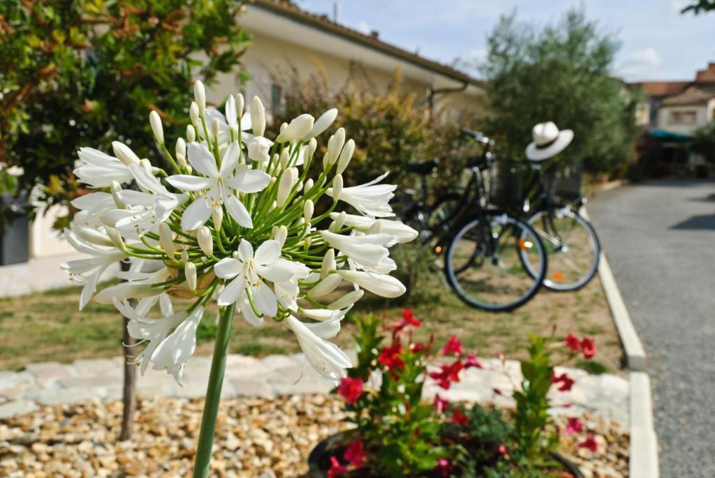 Logis Hotel L'Oliveraie Cognac Eksteriør billede